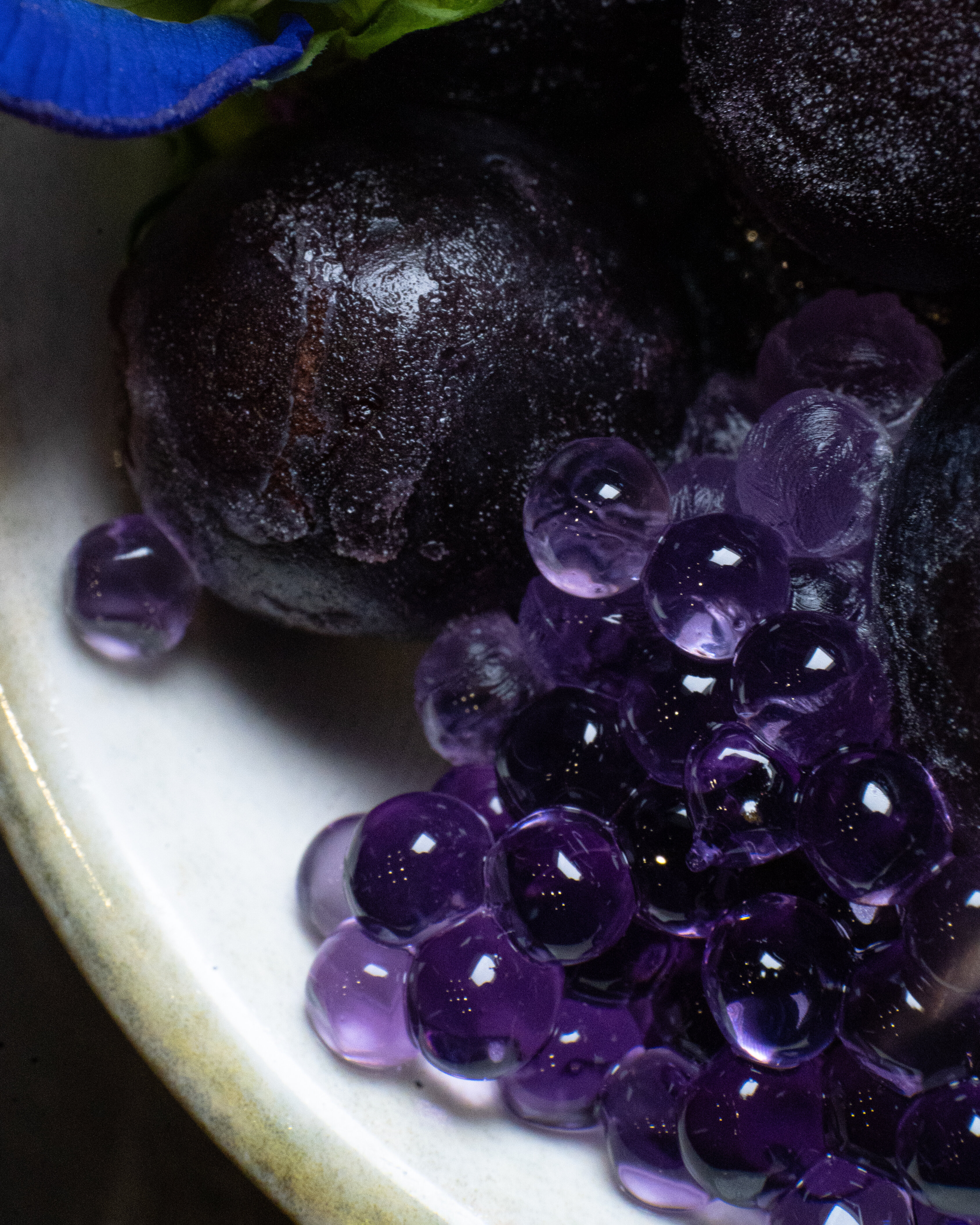 Food & Beverage 26